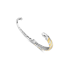 Load image into Gallery viewer, NEW SS 2025 - Ti Sento Sterling Silver Vermeil Bangle