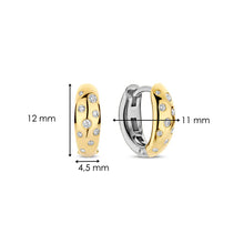 Load image into Gallery viewer, Gold Vermeil Cubic Zirconia Hoop Earrings