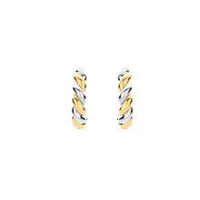 Load image into Gallery viewer, Two Tone Twisted Hoop Earrings