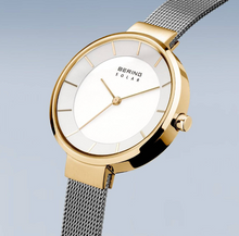 Load image into Gallery viewer, Solar Polished/Brushed Silver and Gold Thin Strap Female Watch