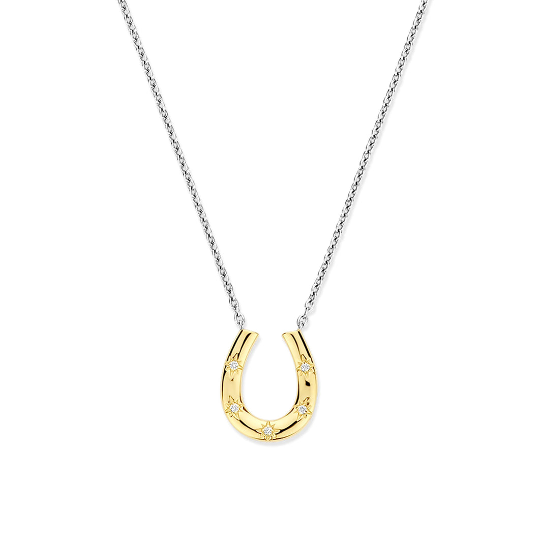 Sterling Silver and Vermeil Horse Shoe Necklace
