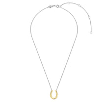 Load image into Gallery viewer, Sterling Silver and Vermeil Horse Shoe Necklace
