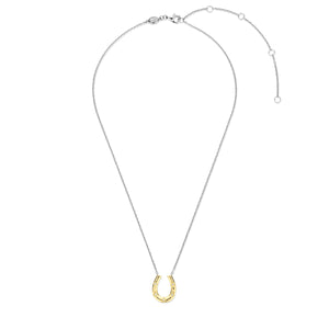 Sterling Silver and Vermeil Horse Shoe Necklace