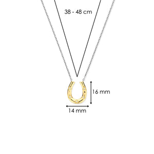 Sterling Silver and Vermeil Horse Shoe Necklace