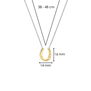 Sterling Silver and Vermeil Horse Shoe Necklace