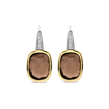Load image into Gallery viewer, Smoky Brown Stone Gold Vermeil Leverback Earrings
