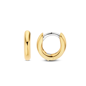Small Silver Yellow Gold plated Hoop Earrings
