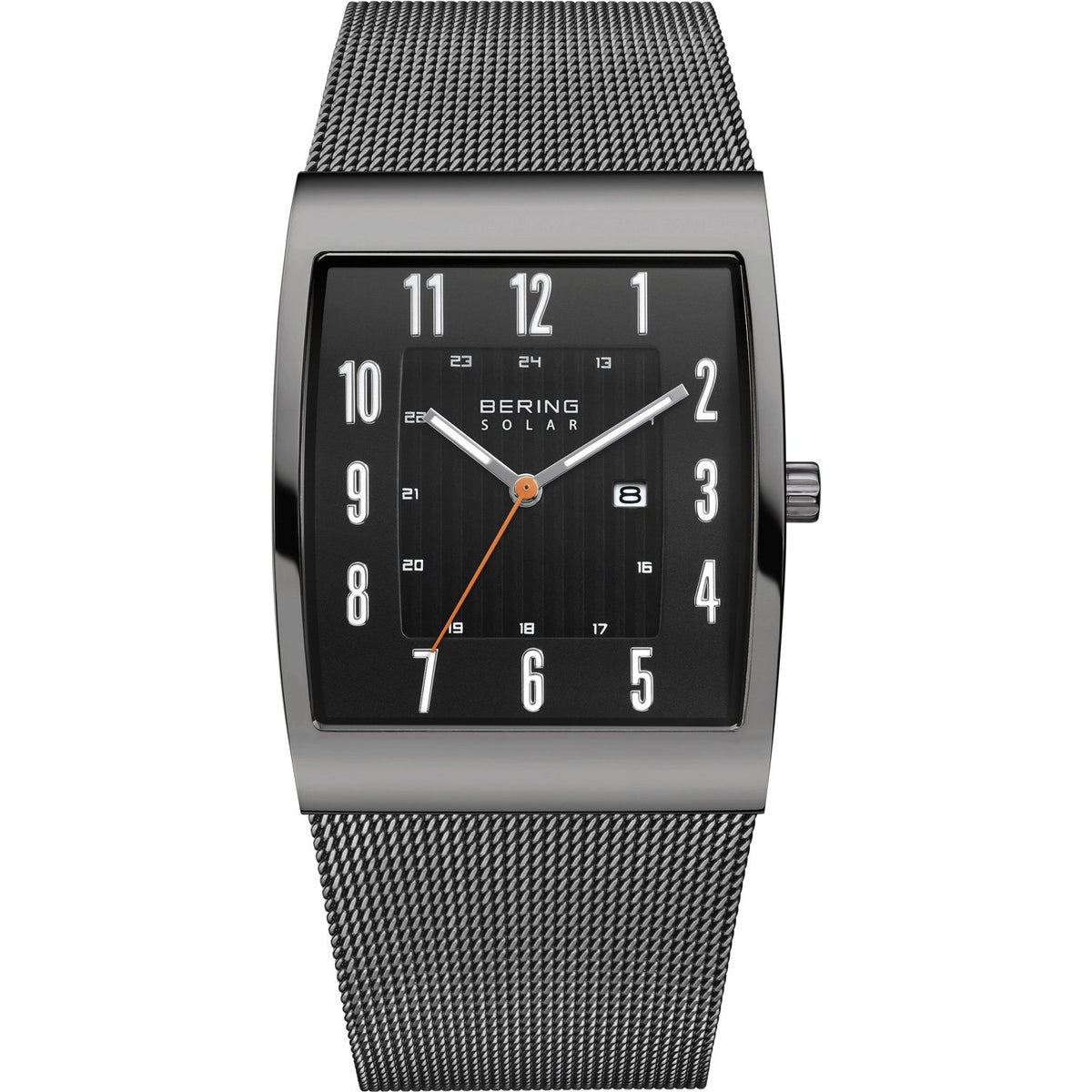 Bering Mens Watch