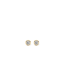Load image into Gallery viewer, Ti Sento Gold Plated Stud Earrings
