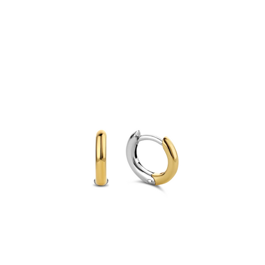 Small Silver Yellow Gold plated Hoop Earrings