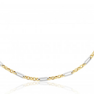 9ct Yellow & White Gold Link Necklace