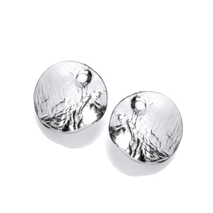 Silver Wavy Lunar Earrings