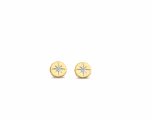Load image into Gallery viewer, Gold Plated Star Stud Earrings
