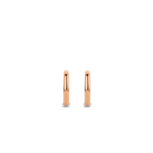 Small Silver Rose Gold plated Hoop Earrings