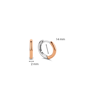 Small Silver Rose Gold plated Hoop Earrings