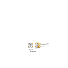 Load image into Gallery viewer, Ti Sento Silver Gold Plated Stud

